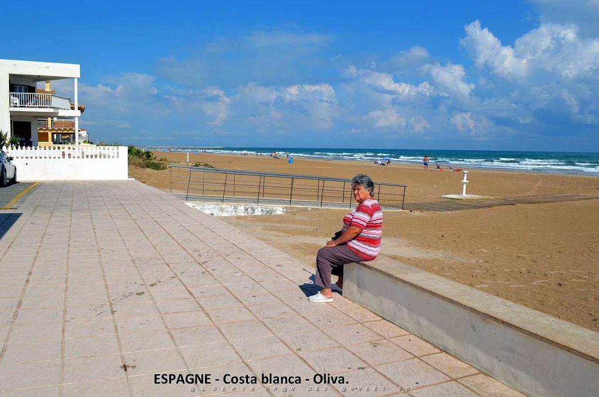 201- Oliva.JPG